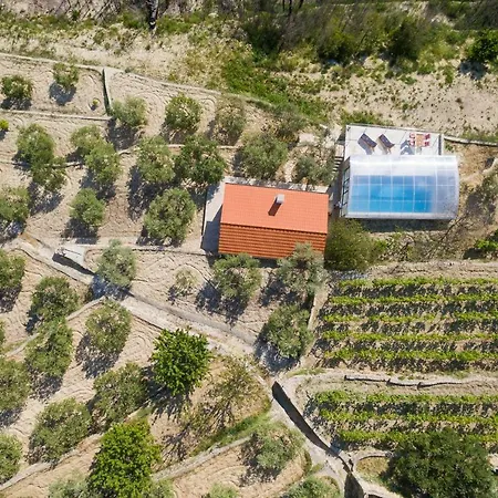 Divine Villas Villa Split